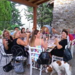 From Florence: Classic Chianti Villages and Wine Roads by Minivan - Visiting San Gimignanos Medieval Skyline