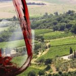 From Florence: Private Montalcino & Montepulciano Wine Tour - Visiting Montalcino and Montepulciano: Two Distinct Tuscan Gems
