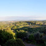 From Florence: PRIVATE Siena and San Gimignano with wine tasting - Discover Siena’s Medieval Charm with a Local Guide