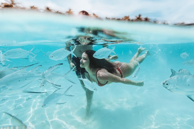 FROM FLORIDA: Bimini Bahamas Day Trip By Fast Ferry - Optional Activities at Surcharge on Bimini Island