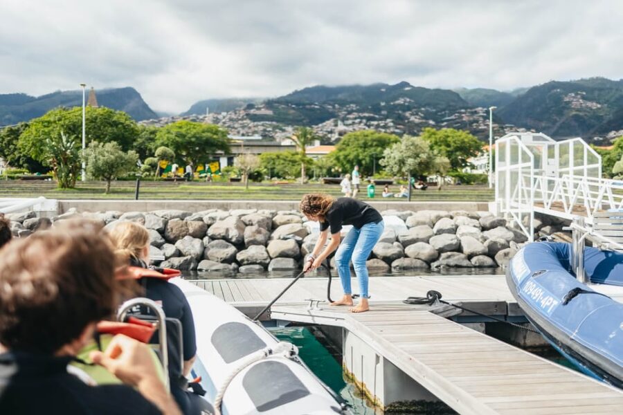 From Funchal: Whales and Dolphin Adventure Tour - Speedboat Benefits for Wildlife Watching