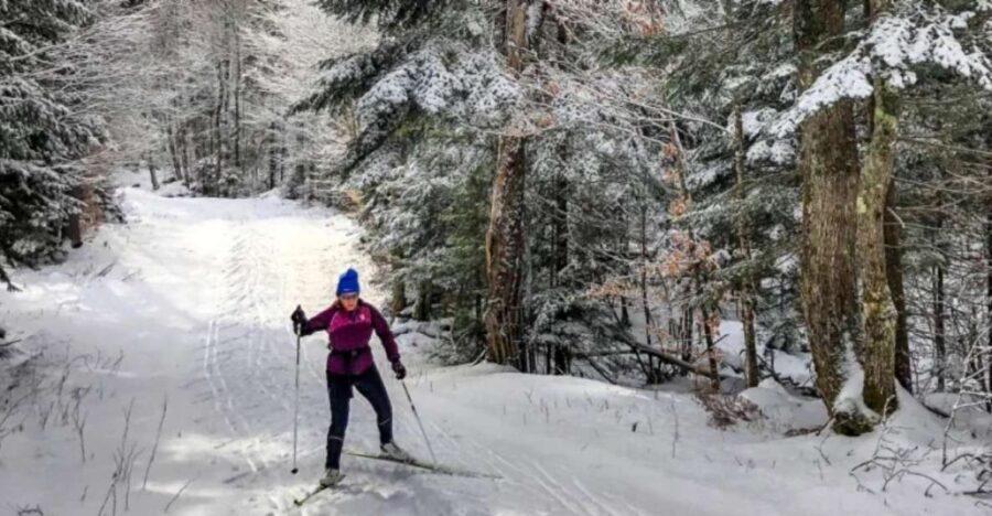 From Gardiner: Guided Yellowstone Cross-Country Skiing Tour - Starting Point: Pickup in Gardiner and Transportation to Lamar Valley