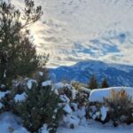 From Gardiner: Yellowstone National Park Snowshoe Tour - Starting Point in Gardiner and Transportation Logistics