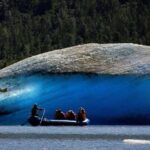 From Girdwood or Anchorage: Spencer Glacier Float & Railroad - Scenic Rail Journey to Girdwood and Spencer Glacier