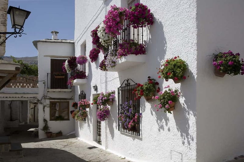 From Granada: Alpujarra Mountain Villages Tour - Visiting Lanjarón, Famous for Mineral Waters