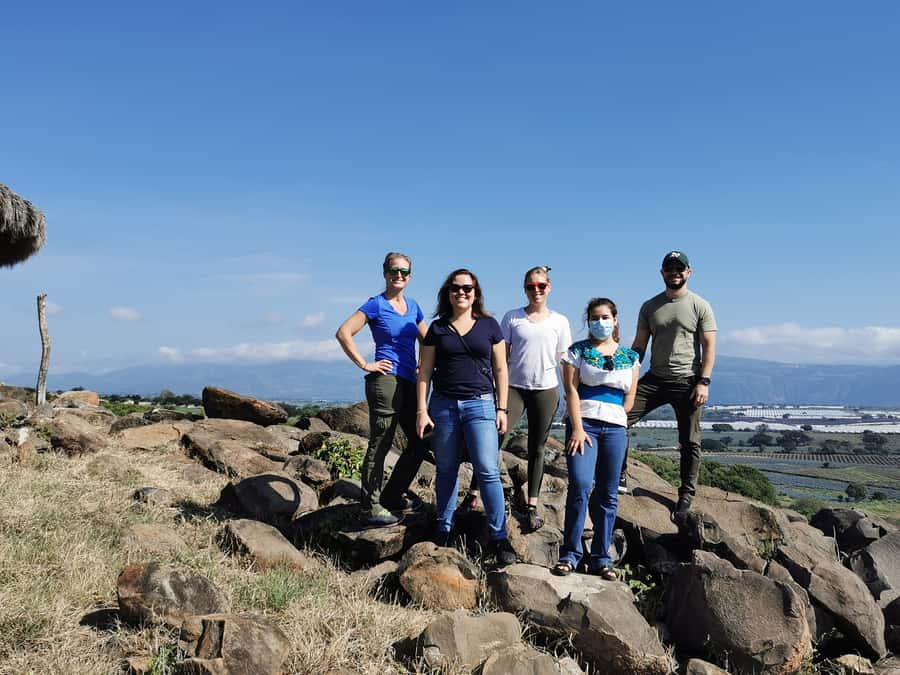 From Guadalajara: Tequila Tour: Tasting Experience & Lunch - Visiting a Family-Owned Distillery for Authentic Tastings
