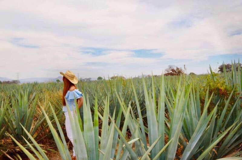 From Guadalajara: Tequila Town and Cantarito Making Tour - Starting Point and Transportation Logistics