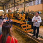 From Guadalajara: Tequila Trail Tour with Tasting - Inside a Traditional Tequila Distillery