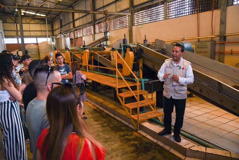 From Guadalajara: Tequila Trail Tour with Tasting - Inside a Traditional Tequila Distillery