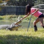 From Houston: Crocodile Encounter Entry Ticket - How to Access the Crocodile Encounter in Angleton
