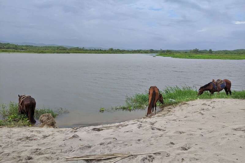 From Huatulco: Beach Horseback Riding Experience - Starting the Adventure at Local Stables