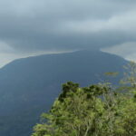 From Huatulco: Coffee and Mezcal Tour - Scenic Drive into Oaxaca’s Mountain Villages