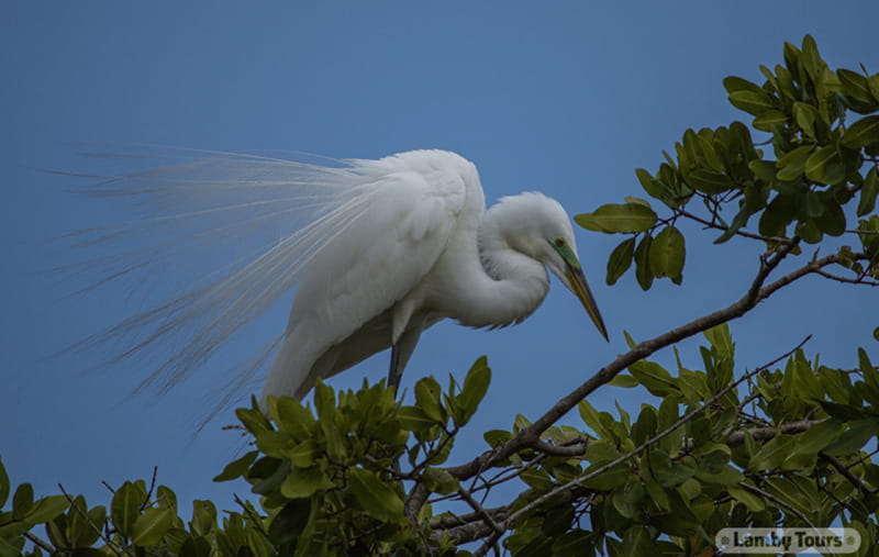 From Huatulco: Crocodiles and Turtles Eco Tour - Starting Point and Tour Logistics in Huatulco