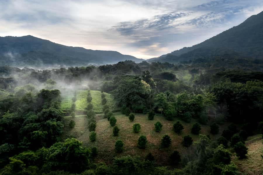 From Huatulco: Exotic garden on an ecotourism ranch and a visit to a viewpoint - Botanical Garden of Exotic Plants and Flowers