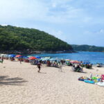From Huatulco: Snorkel and La Entrega Beach Visit - Starting Point and Transportation to La Entrega Beach