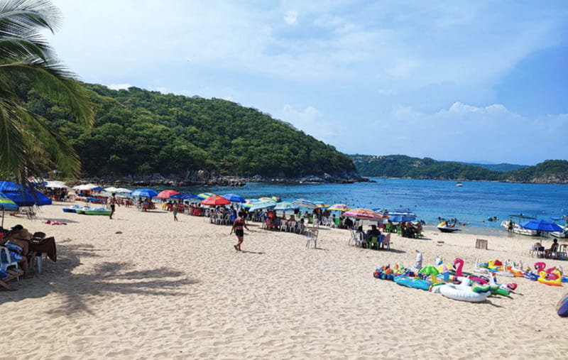 From Huatulco: Snorkel and La Entrega Beach Visit - Starting Point and Transportation to La Entrega Beach