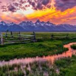 From Jackson: Full-day Grand Teton Wildlife and Scenery Tour with Lunch - Scenic Stops at Iconic Viewpoints