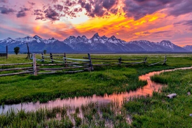 From Jackson: Full-day Grand Teton Wildlife and Scenery Tour with Lunch - Scenic Stops at Iconic Viewpoints