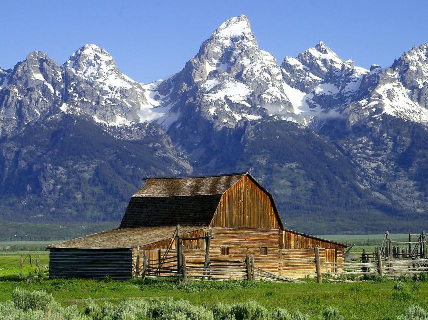 From Jackson: Half-Day Grand Teton National Park Tour - From the Pickup to the Park Loop Road