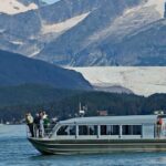 From Juneau: Whale Watching Cruise with Snacks - Comfortable, Small-Boat Wildlife Viewing in Protected Vessels