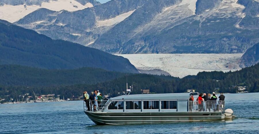 From Juneau: Whale Watching Cruise with Snacks - Comfortable, Small-Boat Wildlife Viewing in Protected Vessels