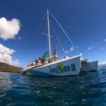 From Ka'anapali: West Maui Half-Day Snorkel Tour w/ Food - Departure from Kaanapali at Whalers Village Mall
