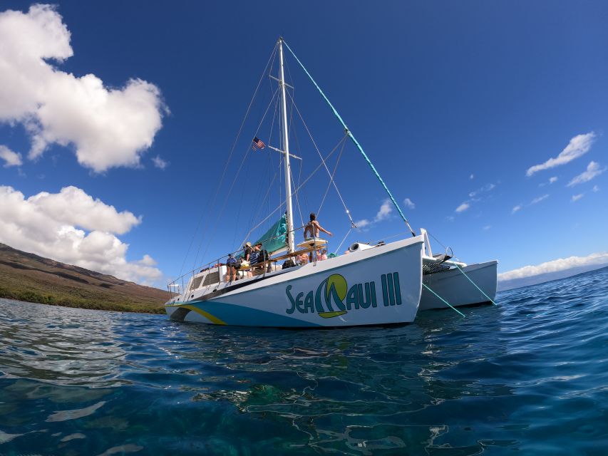 From Ka'anapali: West Maui Half-Day Snorkel Tour w/ Food - Departure from Kaanapali at Whalers Village Mall