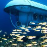 From Kona: Big Island Underwater Submarine Adventure - The Departure and Meeting Point at King Kamehameha Kona Beach Hotel