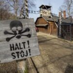 From Kraków: Auschwitz-Birkenau Tour with Lunch Box and Pick Up - The Significance of the Guided Tour and Audio Headsets