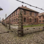 From Krakow: Auschwitz-Birkenau Tour with Transfer - Visiting Auschwitz I: The Original Camp and Exhibits
