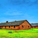 From Krakow: Live Guided Tour Auschwitz-Birkenau - Pacing and Experience Highlights