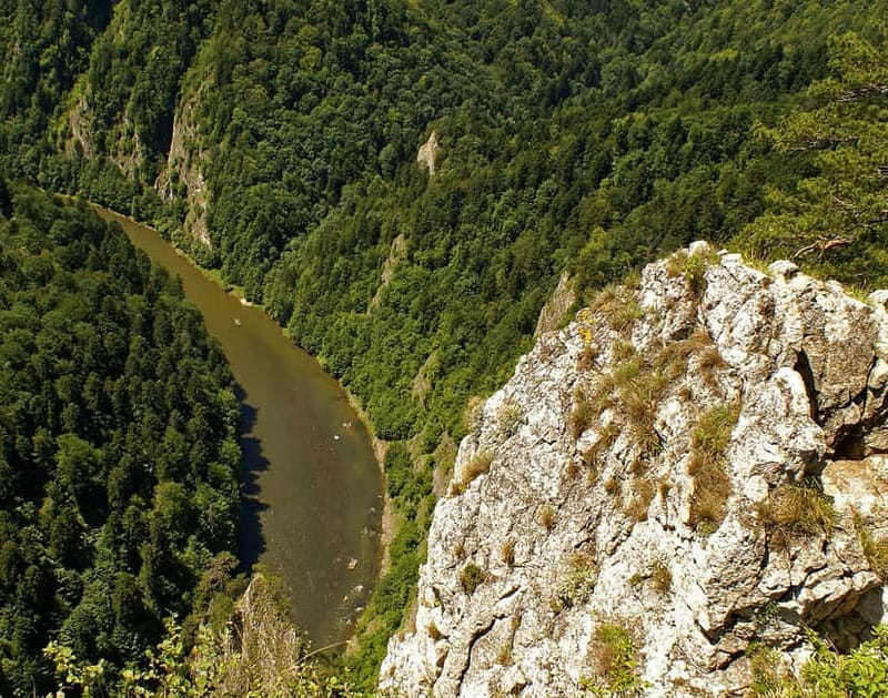 From Krakow: Rafting on Dunajec River Full-Day Trip - Rafting on the Dunajec River: A Mix of Calm and Thrill