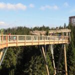 From Kraków: Slovakia Treetop Walk Bachledka and Zakopane - Walking the Bachledova Treetop Trail and Panoramic Mountain Views