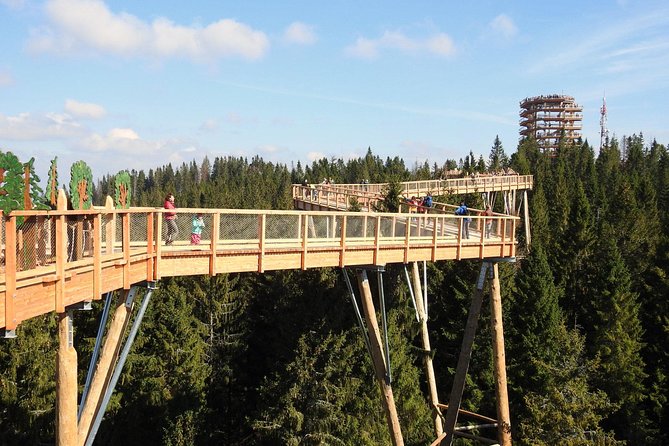 From Kraków: Slovakia Treetop Walk Bachledka and Zakopane - Walking the Bachledova Treetop Trail and Panoramic Mountain Views