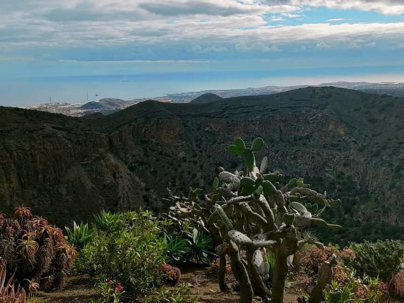 From Las Palmas: Half day tour Volcano Bandama & Vineyard - Strolling Through Spains Largest Botanical Garden in Tafira