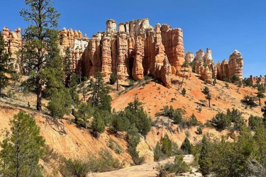 From Las Vegas: Private Tour to Zion National Park - Convenient Hotel Pickup and Scenic Route from Las Vegas