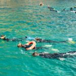 From LEstartit: Snorkeling Trip to the Medes Islands - Meeting Point and Booking Flexibility
