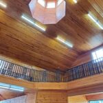 From Lexington: Kentucky Horse Farms Tour - Starting Point and Transportation in Lexington