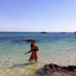 From Lisbon: Arrabida Private Full-Day Wine Excursion - Scenic Drive with Lisbon’s Best Vistas