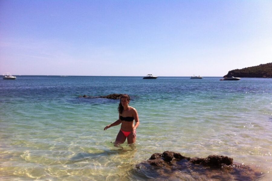 From Lisbon: Arrabida Private Full-Day Wine Excursion - Scenic Drive with Lisbon’s Best Vistas