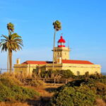 From Lisbon: Lagos & Albufeira Day Tour in the Algarve - Frequently Asked Questions