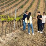 From Lisbon: Sintra & Pena Palace Day Trip with Wine Tasting - Starting the Day in Lisbon and Heading to Sintra