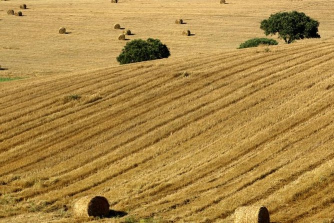 From Lisbon to Alentejo: Évora and Megaliths Full-Day Group Tour - Convenient Pickup and Small Group Size