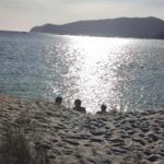 From Lisbon: Tróia and Bacalhoa winery museum with wine tasting. - Discover the Bacalhoa Winery Museum and Wine Tasting Experience