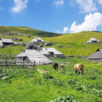 From Ljubljana: Velika Planina Guided Hike - Exploring Velika Planina’s Traditional Shepherds Huts