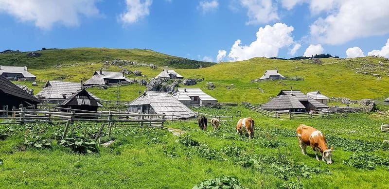 From Ljubljana: Velika Planina Guided Hike - Exploring Velika Planina’s Traditional Shepherds Huts