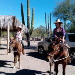 From Loreto: Baja Desert Horseback Riding Tour - Starting from Loreto: Easy Pickup and Small Group Setting