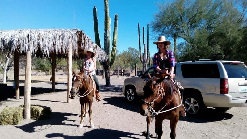 From Loreto: Baja Desert Horseback Riding Tour - Starting from Loreto: Easy Pickup and Small Group Setting