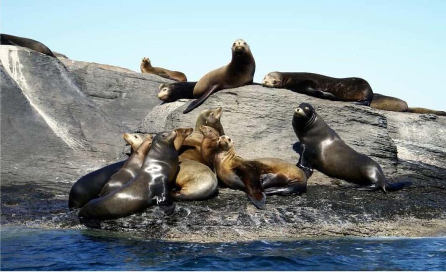 From Loreto: Coronado Island Snorkel - Coronado Island’s Location and Setting