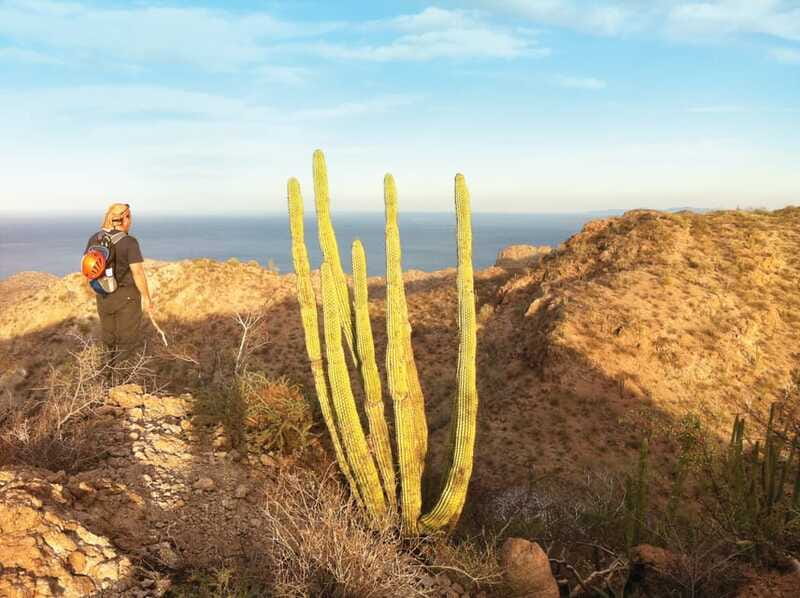 From Loreto: Tabor Canyon Guided Hike - Meeting Point and Transportation in Loreto